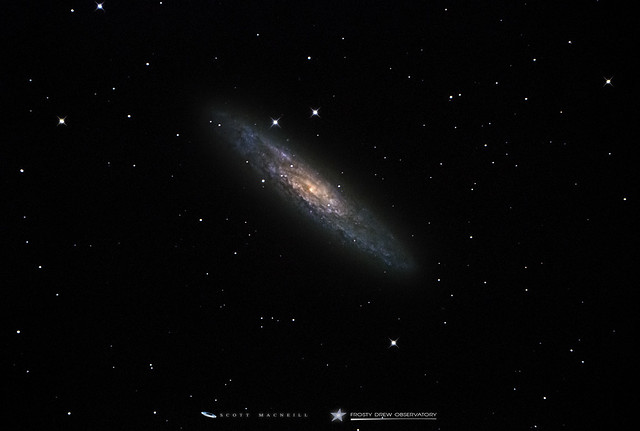 The Sculptor Galaxy - A Stunning Starburst