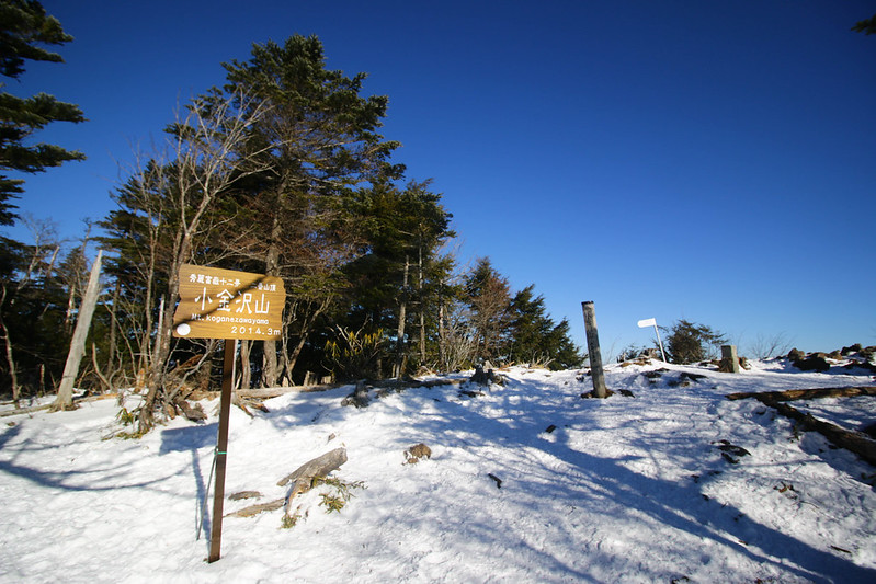 小金沢山の山頂