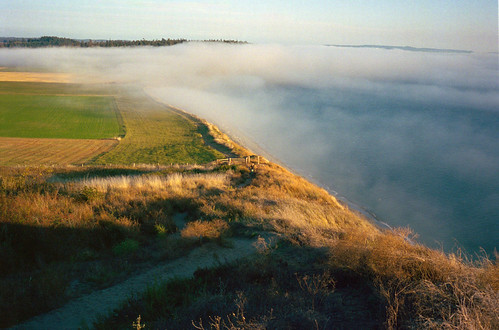 Afternoon Fog 3 | by Nicholas Lyle