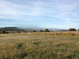 Morning fog on the farm.