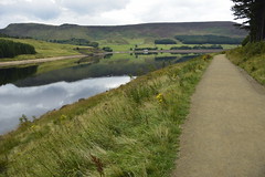 Greenfield Brook to Dovestone (339)