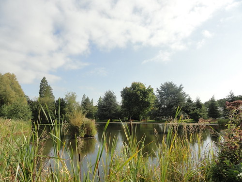 University of Bath, Claverton Down Campus Pond