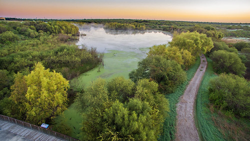 Bird Pond at Sunrise by IFlySkyhawks,