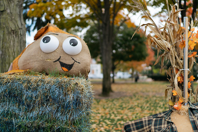 Scarecrows in the Park