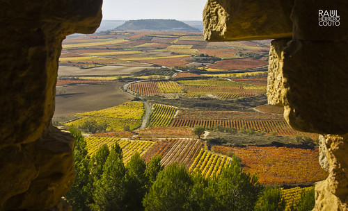 autumn españa castle fall canon outdoors vineyard spain europa europe view grapes vista otoño castillo uvas larioja airelibre viñedo twof 550d davalillo