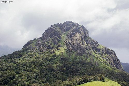 Silent Valley Scape | by Deepu Cyriac