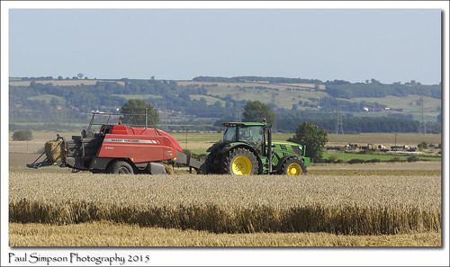 trees food plants plant tractor field rural countryside farm transport lincolnshire crop vehicle crops haybales stockimages balesofhay countryscene northlincolnshire masseyferguson photosof imageof winteringham thecrop photoof ruralimages northlincs imagesof harvettime sonya77 paulsimpsonphotography september2015 viewsoflincolnshire
