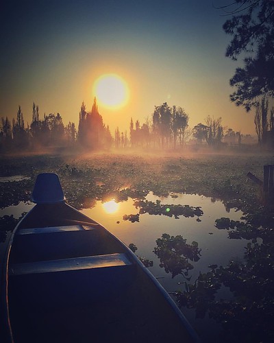 #aavi #aavi_escuela #aavi_xochimilco #tomafoto by Brenda Islas, square sierra squareformat iphoneography instagramapp uploaded:by=instagram