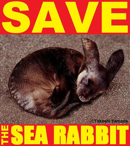 510. SAVE THE SEA RABBIT, wildlife conservation poster, Coney Island Sea Rabbit Center, Brooklyn, NY, 2011-01, Takeshi Yamada