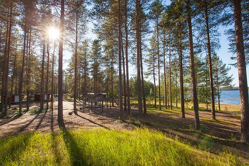 park sunset vacation sunlight lake finland hotel hostel natural accommodation elokuu kainuu hossa