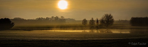 Golfplatz by Ralph Pascher, groszimmern golf golfplatz green sonnenaufgang sunrise amanecer bodennebel 高爾夫球場 terraindegolf ゴルフ場 