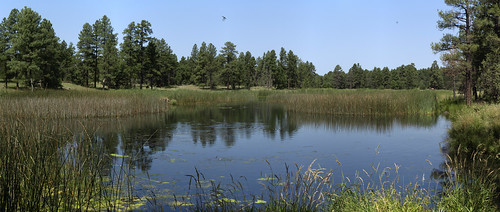 arizona panorama whitemountains bigsprings pinetop pinetoplakeside pinetoparizona bigspringsenvironmentalstudyarea earthnaturelife