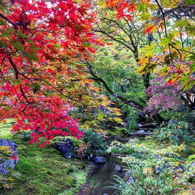 Kyoto Gardens, Japan