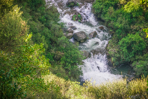newzealand plant tree water creek river landscape waterfall stream outdoor falls taupo sh5 statehighway5 waipunga