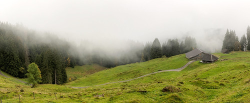 Herbstnebel by Alexander Burkhardt, 2016-10-18_030_tm_panoglaubenberg schweiz landschaft nebel herbst