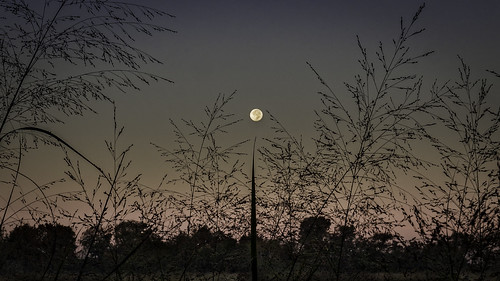 moon sunrise pink texas boerne olympusomdem1