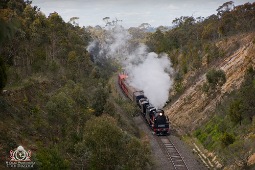 steam train steamrail victorian railways smoke cutting locomotive heritage vintage