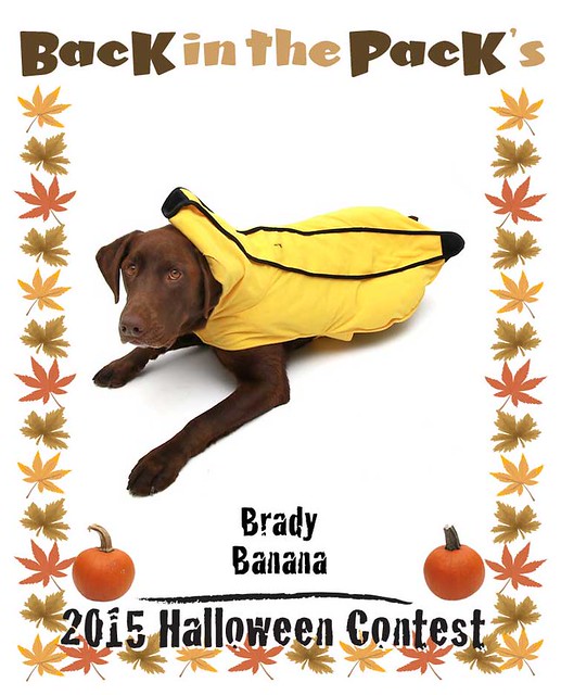 Brady-Banana