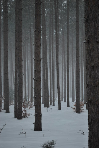 Tyler's Camera 098 (10) | by Tyler Knorr
