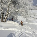 Skitour auf den Bachtel Jan 17'