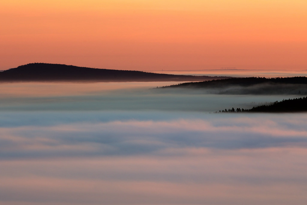 #124 Landscape in Morning Mist (Explore 2015-09-28)