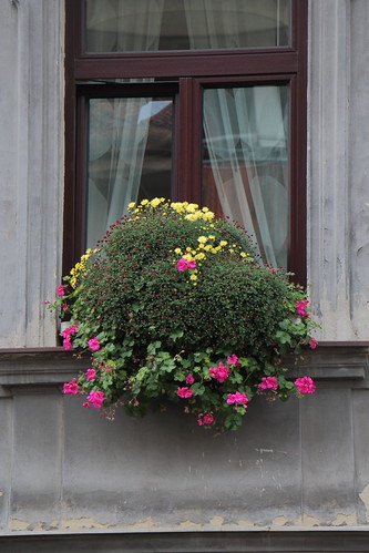 IMG_1821 | by Gerhard Kuchta