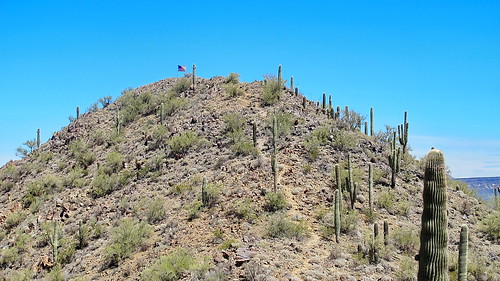 arizona cactus mountain cacti hiking flag americanflag backpacking american summit daisy saguaro anthem hikes saguaros alhikesaz daisymountain