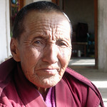 16 Ladakh nonnen