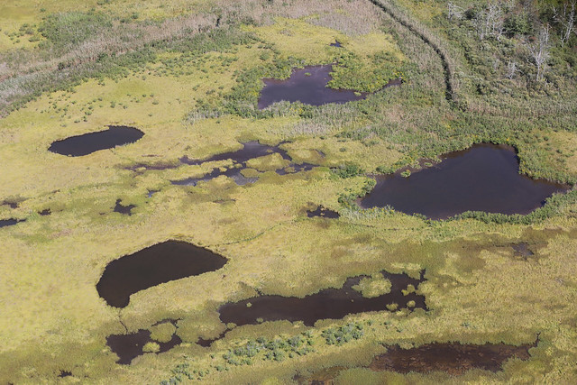 Aerial view of Wertheim National Wildlife Refuge's salt marsh area - 2016