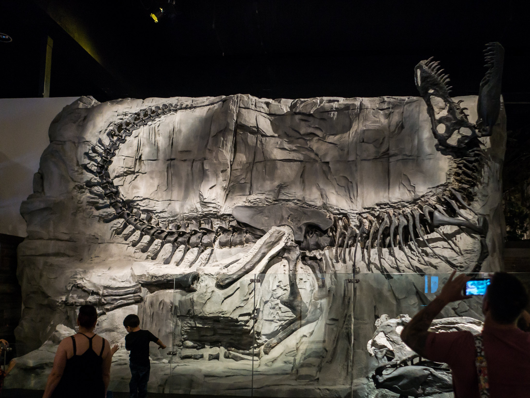 Royal Tyrrell Museum