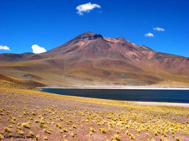 Miñiques Volcano & Laguna Miñiques near Socaire, San Pedro de Atacama, El Loa Province, Antofagasta Region, Chile