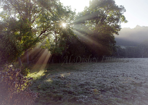 uk trees nature water weather sunrise landscape frost seasons farming sunbeams thegreatoutdoors northwales thebritishcountryside