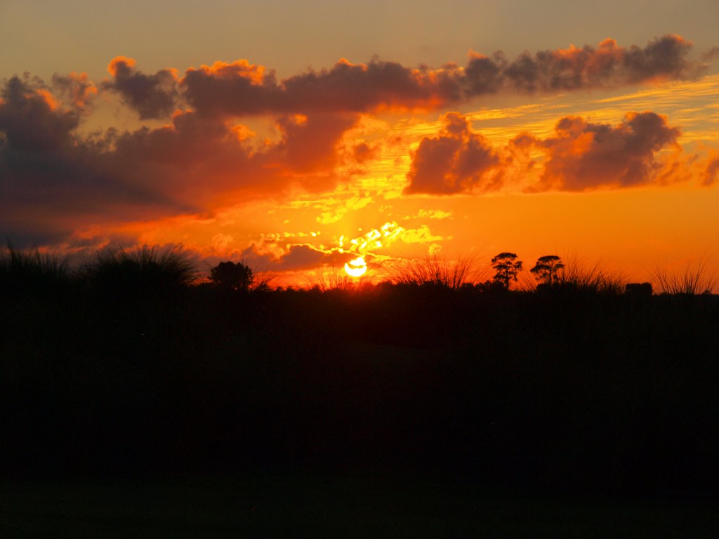 Sunset in Ocala FL