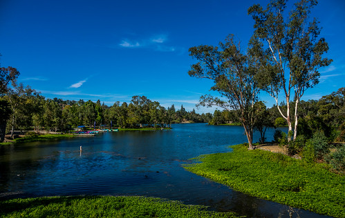 ca california vasonalakecountypark nature losgatos afternoon park lake recreational outdoor santaclaracountyparks unitedstates us