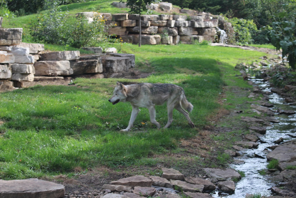 Menominee Park Zoo