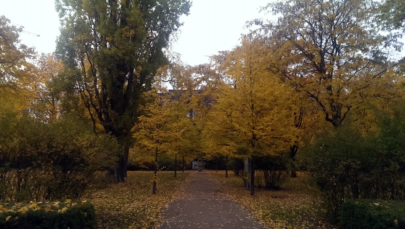 Herbst im Heine-Viertel