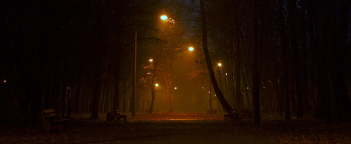 park autumn jesień dąbrowagórnicza dabrowagornicza path droga leisure wypoczynek mgła fog poland polska landscape krajobraz europe europa