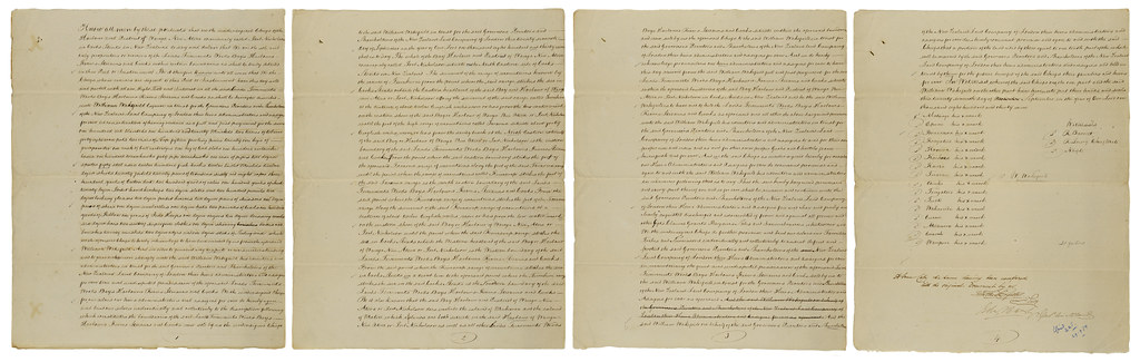 Waitangi Tribunal demands government restore Treaty obligations in schools