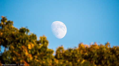 moon us newjersey unitedstates luna astrophotography monmouthcounty jerseyshore lunar mothernature waxinggibbous moonphase walltownship sharkriver gibbosus nikond610 tamronsp150600mmf563divcusd