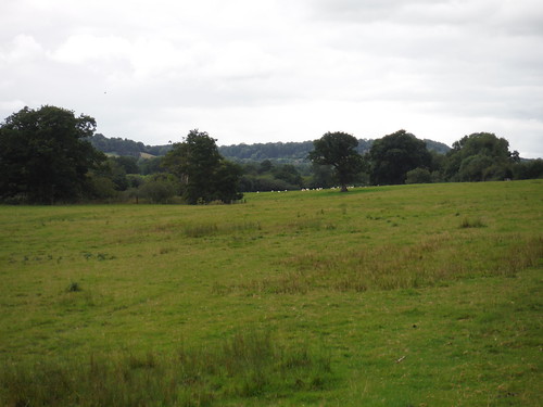 Long Meadow by the Nadder SWC Walk 251 Tisbury Circular via Ludwell and Berwick St. John