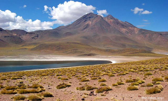 Miñiques Volcano, Laguna Miscanti  & Laguna Miñiques near Socaire, San Pedro de Atacama, El Loa Province, Antofagasta Region, Chile