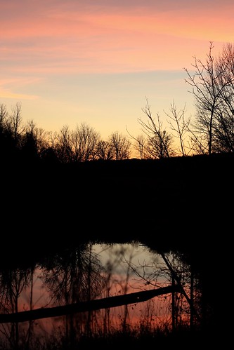 dusk reflection trees glow sunset kptrail kingston bokeh