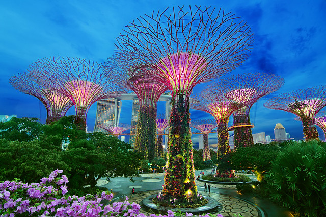 Supertree Grove Gardens by the Bay