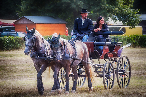 Lovasnapok Tamási / Tamási Horse Days | by Peter Sörgel