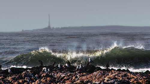 costa uruguay coast wave ola