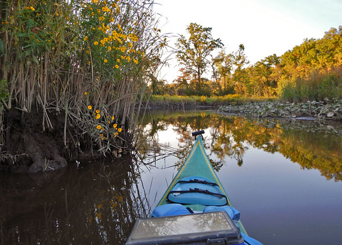 sunset water river kayak kayaking swamp potomac potomacriver magichour alexandriava alexandriavirginia washingtonarea