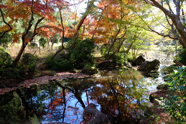 Japanese garden of autumn day