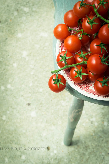 fresh tomatoes on blu chair