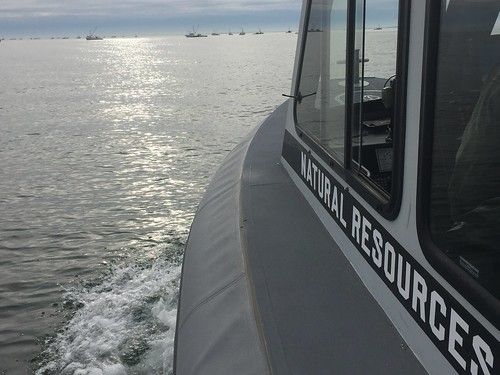 Photo of DNR boat approaching commercial oyster boats