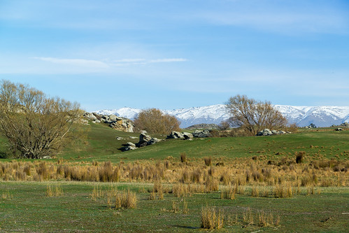 newzealand snow green farmland willow nz southisland centralotago dunstanmountains ophirfarmland